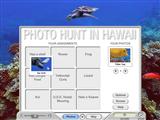Photo Hunt in Hawaii